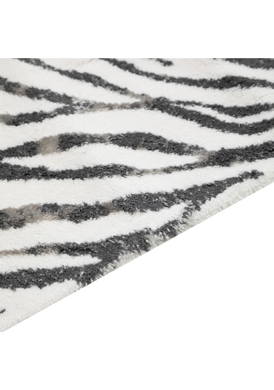 Mudo Home Zebra 2'li Banyo Paspas Seti Çok Renkli