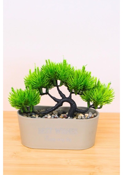 Digithome Dekoratif Kayık Saksılı Yapay Çam Ağacı Bonsai Gri 16cm Eva-5829 C1-1-423