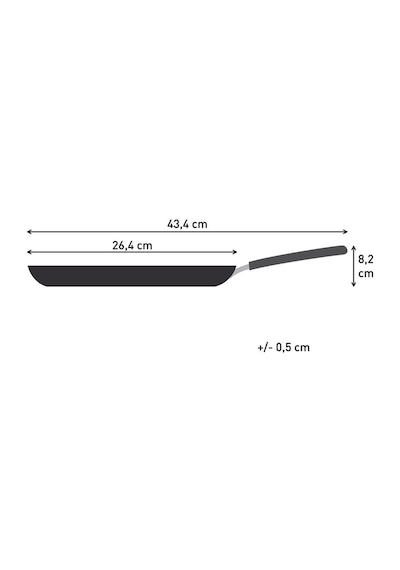 Tefal Tefal Expertise 5x Krep Tava - 25 Cm 2100139053 siyah