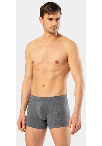 Cacharel Erkek Likralı Boxer 1335/Antrasit 001