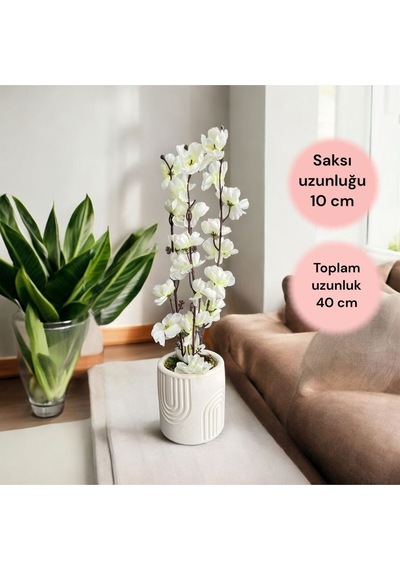 Beton Saksıda Gerçek Taş Yosunlu Yapay Japon Kiraz Çiçeği,saksı ,aranjman , Ev Dekorasyon,