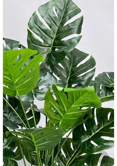 Yapay Monstera Deve Tabani Bi Tki Si 60 Cm Krem Orgulu Hasir Saksıda