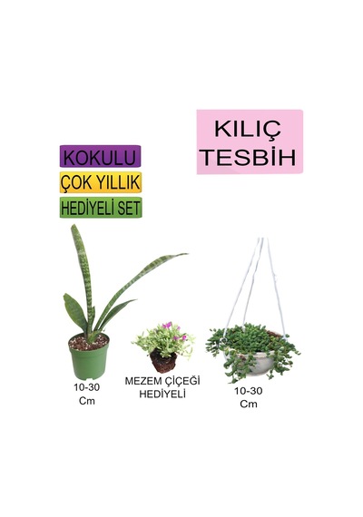 3'lü Set Tek Dikim Kılıç+askılı Saksılı Tesbih+hediyelik Mezem Çiçeği