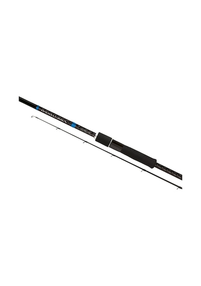 Shimano Bassterra Sea Bass 9 12-38 Gr 274 CM