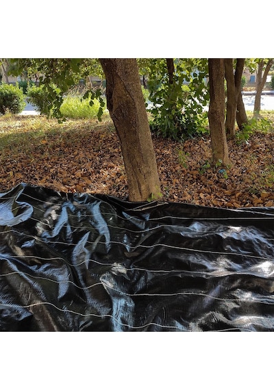 Zeytin Tırmığı + Zeytin Dilme Aparatı + Fırça Sapı + 5x6 Zeytin Sergeni Jüt Zeytin Toplama Tarağı Taban Örtüsü Zeytin Çizme Aleti