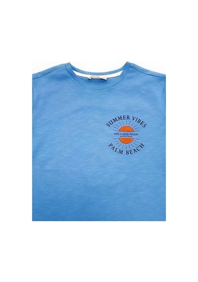 Çikoby Erkek Çocuk Pamuklu Summer Yazılı Tshirt-14593 Mavi