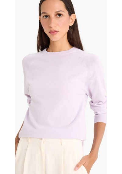 Defacto Relax Fit Bisiklet Yaka Kazak I6913az25wnpr462 Mor