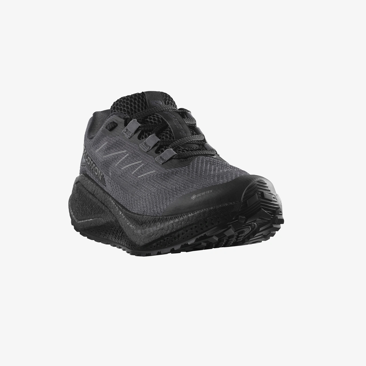 Salomon Aero Blaze 3 Gravel Gore Tex Kadın Siyah Koşu Ayakkabısı L47976700 Siyah