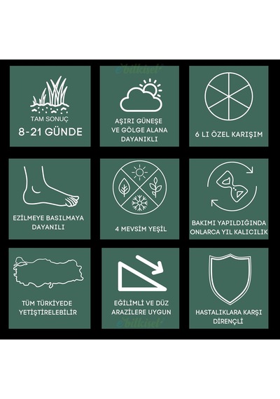 Çok Yıllık Çim Tohumu 10 Kg Uzun Ömürlü 6'li Karışım Gölge Ve Aşırı Güneşli Alan İçin Uygun Yetiştirilmesi Kolay 4 Mevsim Yeşil