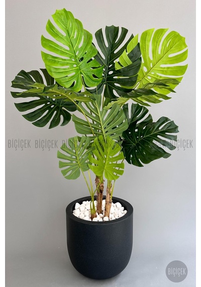 Yapay Monstera Ağacı Deve Tabani 180 Cm Antresi T Çeşme Saksıda Antresit