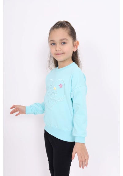 Toontoy Kız Çocuk Relax Fit Bisiklet Yaka Hafif Düşük Omuz Nakış Baskılı Sweatshirt - 2 İplik Su Yeşili Toontoy Kız Çocuk Relax Fit Bisiklet Yaka Hafif Düşük Omuz Nakış Baskılı Sweatshirt - 2 İplik Su Yeşili