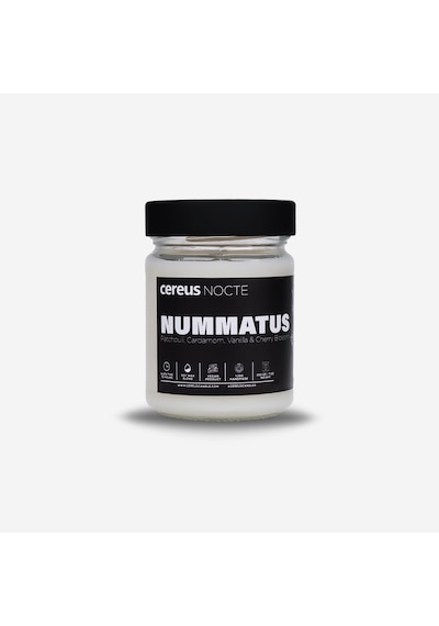 Paçuli & Vanilya Kokulu Doğal Soya Mum – Cereus Nocte Serisi El Yapımı Cam Kavanoz 210 gr