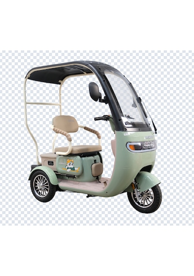 Arora Rüzgar Pro 650 W 60 V 20 AH 3 Tekerlekli Elektrikli Motosiklet Yeşil