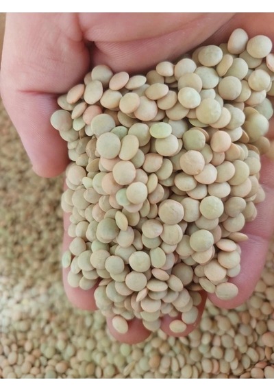 Köy Bulguru 1 Kg Pirinç 1kg Yeşil Mercimek 1 Kg Kırmızı Mercimek 1 Kg Köy Mahsulu Doğal