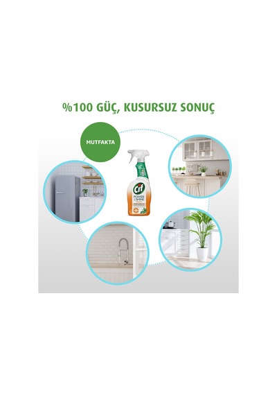 Power & Shine Mutfak Sprey Temizleyici 750 Ml Diğer