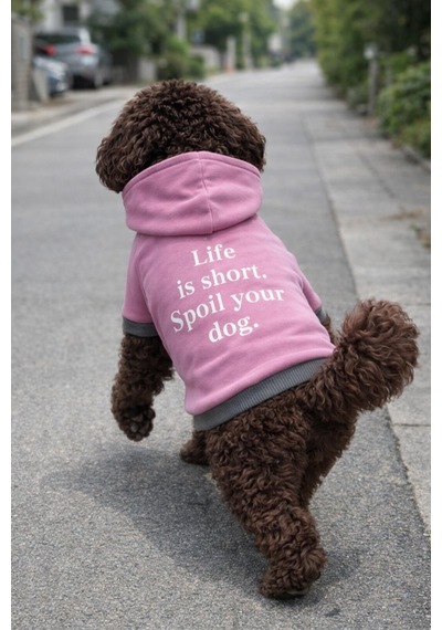 Alphadog Lila Polarlı Küçük Irk Köpek Sweatshirtü 5 9 Kg-12 Kg Arasına Uygun