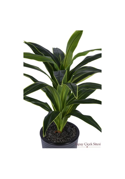 Yapay Çiçek Sitesi Dalgalı Saksıda Yapay Dracena Ağacı 130 Cm Yeşil