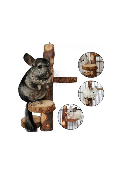 Çevre Dostu Chinchilla Standı Ve Kuş Oyuncağı - Çok Amaçlı Bite Dayanıklı Levrek Standı