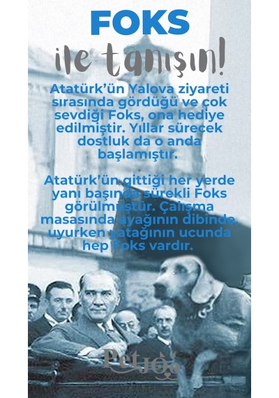 Petjoo 29.Foks Gri-Mavi Qr'lı Köpek Künyesi