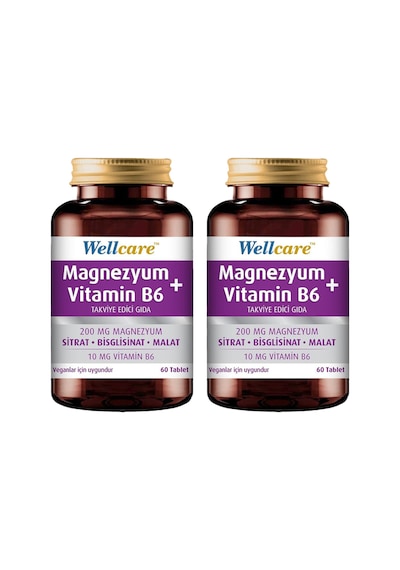 Wellcare Magnezyum + Vitamin B6 2 x 60 Tablet