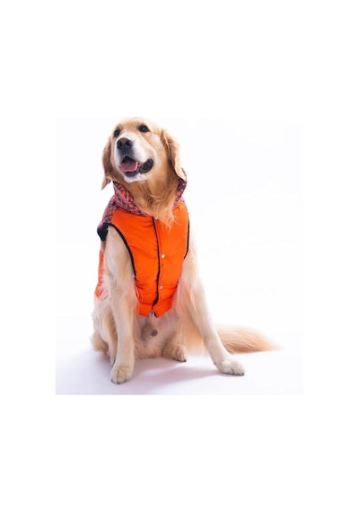 Pawstar Turuncu Elgin Paws Su İtici Orta-büyük Irk Köpek Puf Yelek Yağmurluk