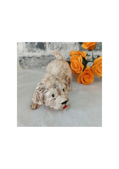 El Yapımı Yavru Köpek Biblosu,