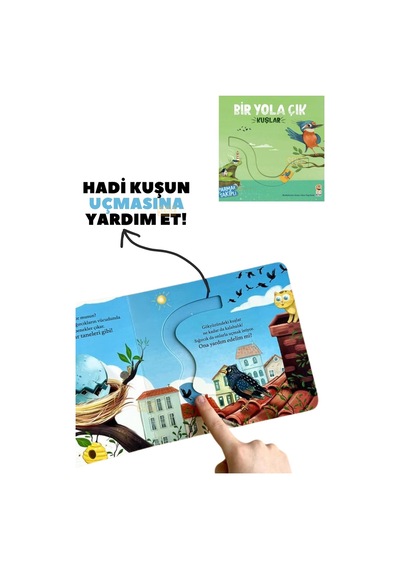 Sincap Kitap Bir Yola Çık Spor + Kuşlar + Hayvanlar Parmak Takipli Hareketli Okul Öncesi Kitap Ekonomik 3'lü Set Sku: Smgstkf87f92bf25