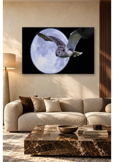 Fida Dolunayın Önünde Uçan Baykuş Canvas Tablo Çok Renkli