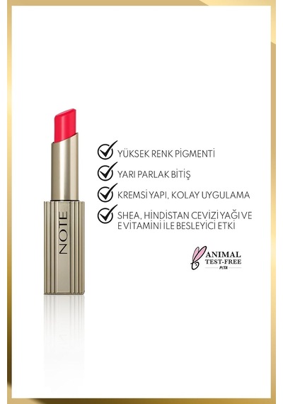Aura Silk Lipstick 10 Timeless Red Kremsi Yarı Parlak Ruj - Kırmızı Diğer