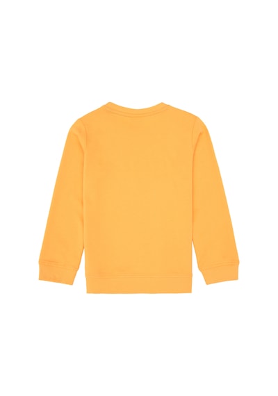 U.S. Polo Assn. Erkek Çocuk Mango Bisiklet Yaka Basic Sweatshirt 50313830-VR244