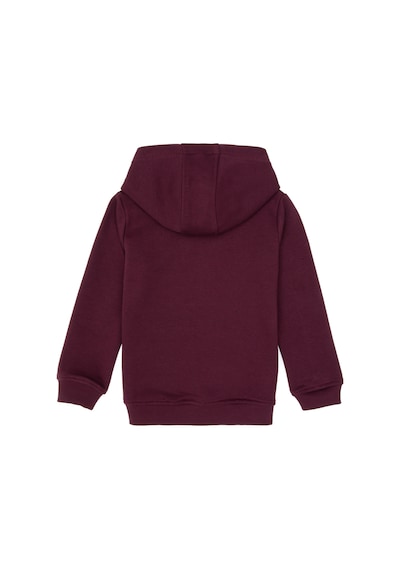 U.S. Polo Assn. Erkek Çocuk Bordo Basic Kapüşonlu Sweatshirt 50313980-VR177