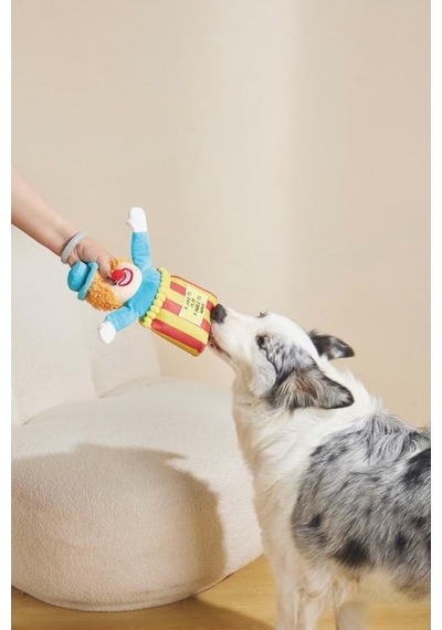 Joyful Circus Snack Attack Köpek Oyuncağı