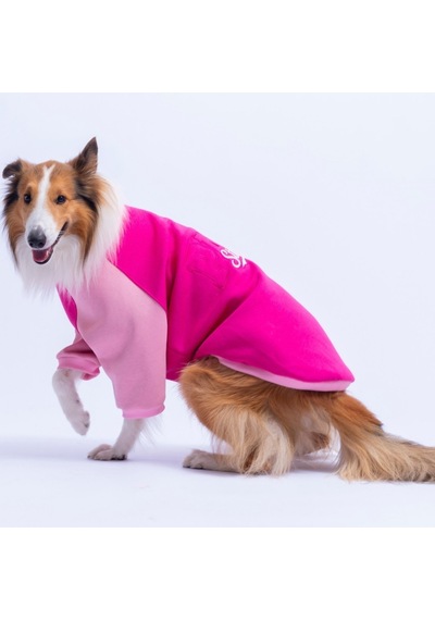 Fuşya Boston Pawstar Sweat Orta-büyük Irk Köpek Sweatshirt Köpek Sweat Köpek Kıyafeti Fuşya Boston Pawstar Sweat Orta-büyük Irk Köpek Sweatshirt Köpek Sweat Köpek Kıyafeti