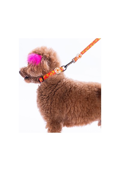 Poodle Köpek Desenli Köpek Boyun Tasması Ayarlanabilir Köpek Tasması S Turuncu
