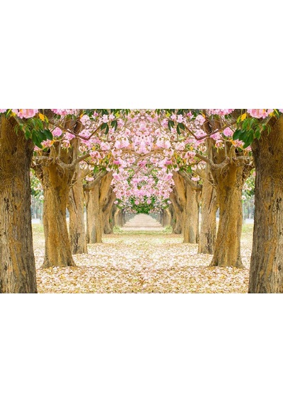 Pembe Yapraklı Ağaçlarla Kaplı Tünel Duvar Kağıdı