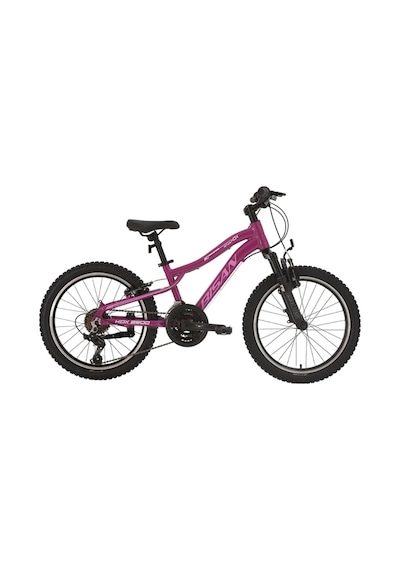 Bisan Kdx 2500-v-25 Kız Çocuk Bisikleti 28cm V 20 Jant 21 Vites Metalik Mor Pembe Beyaz Çok Renkli