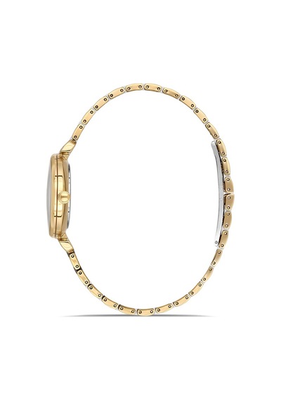 Momentus Women's Shiny Star Ss390t-02sg Gri