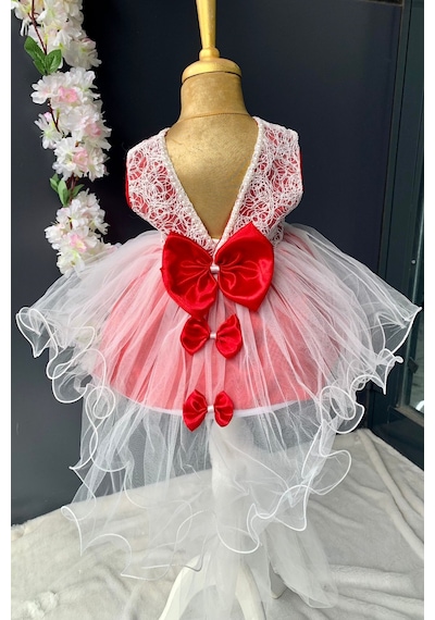 Mnk Baby & Kids Sırt Fiyonklu Kız Bebek Mevlütlük Elbise PNPN147