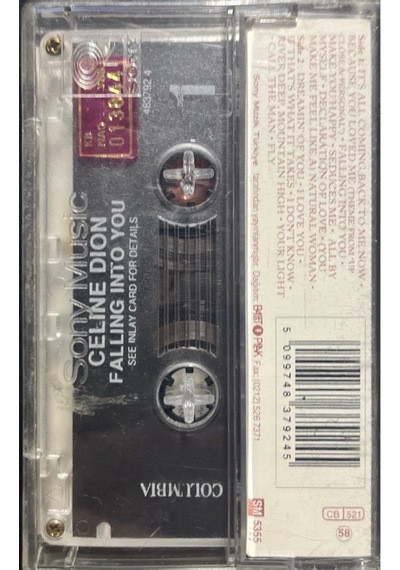 Plak Değildir Kaset Tir Kaset Celine Dion Falling Into You Kase