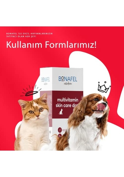 Nutriderm Kolajen Katkılı Vahşi Alaska Somon Yağı 150 Ml