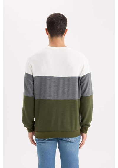 DeFacto Regular Fit Bisiklet Yaka Renk Bloklu Jakarlı Sweatshirt D5393AX24AUGN351