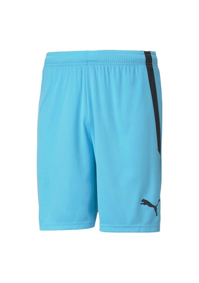 Puma Teamliga Shorts Erkek Futbol Şortu 70492440 Mavi
