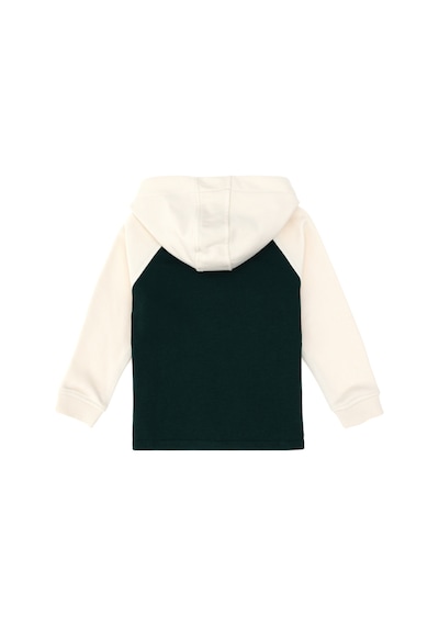 U.S. Polo Assn. Erkek Çocuk Fermuarlı Kapüşonlu Koyu Yeşil Sweatshirt 50293498-VR079 U.S. Polo Assn. Erkek Çocuk Fermuarlı Kapüşonlu Koyu Yeşil Sweatshirt 50293498-VR079
