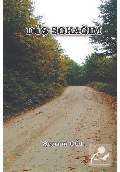 Düş Sokağım / Seyrani Göl