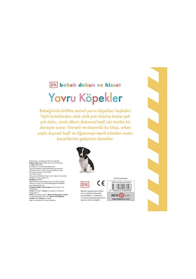 Bebek Dokun Ve Hisset Yavru Köpekler