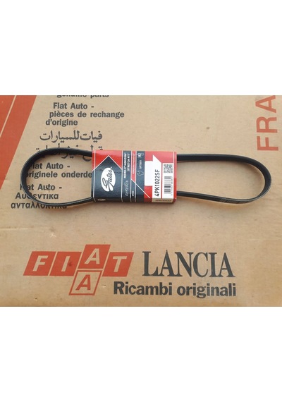 Gates 4pk1022sf Kayış Hidrolik Direksiyon Doblo Albea Palio 1.3
