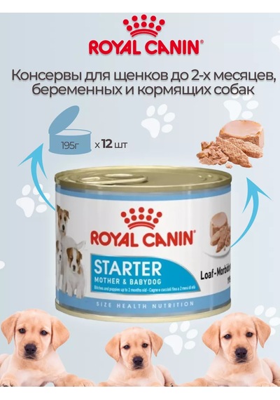 Royal Canin Starter Mousse Dog Köpek Maması Yaş 12 Adet 176279824
