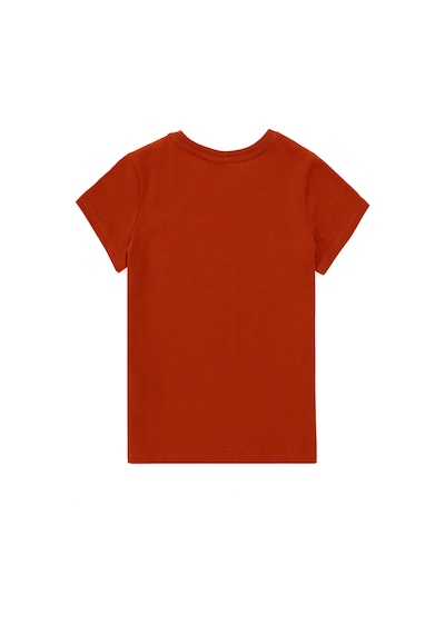 U.S. Polo Assn. Erkek Çocuk Kiremit Bisiklet Yaka Tişört 50298086-VR031