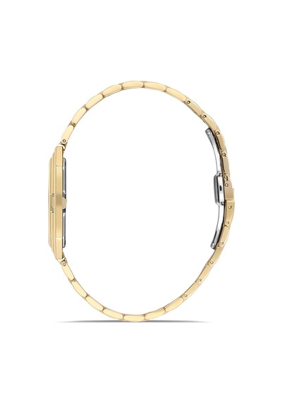 Hislon Men's Classic Cl170g-02sg Çok Renkli