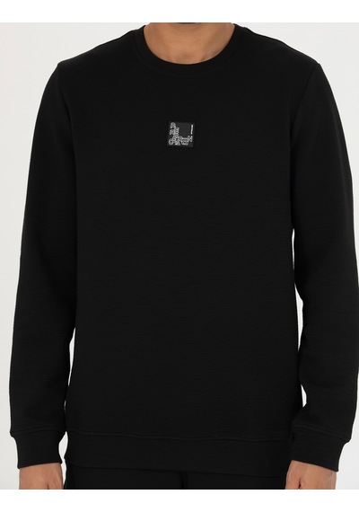 Pierre Cardin Siyah Regular Fit Sweatshirt 50273927 Vr046
